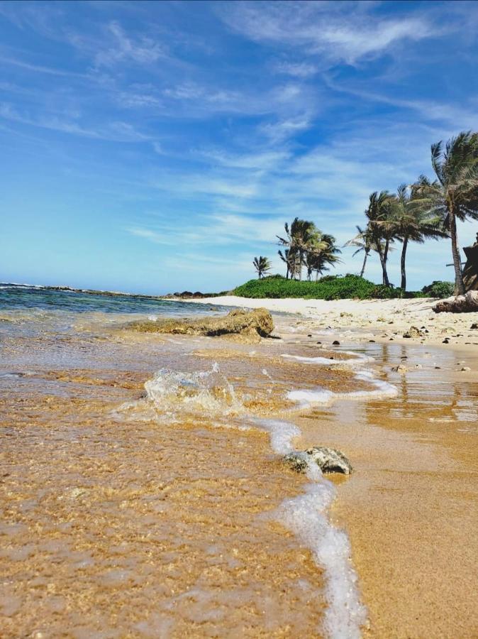 Vive Utila - Bed & Breakfast Buitenkant foto
