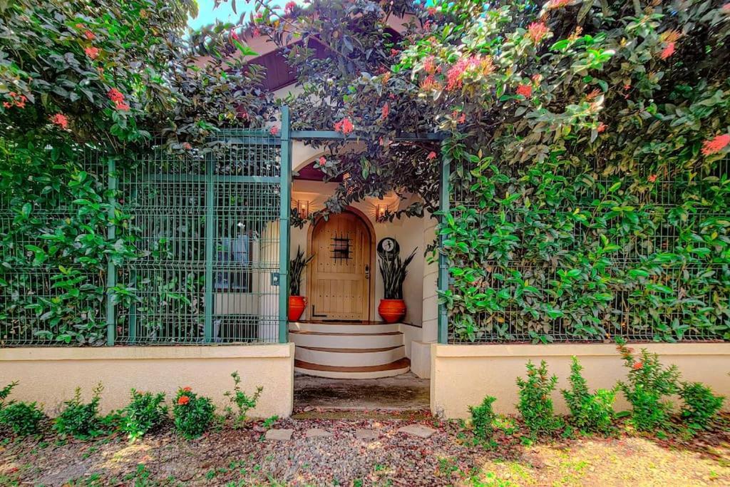 Vive Utila - Bed & Breakfast Buitenkant foto
