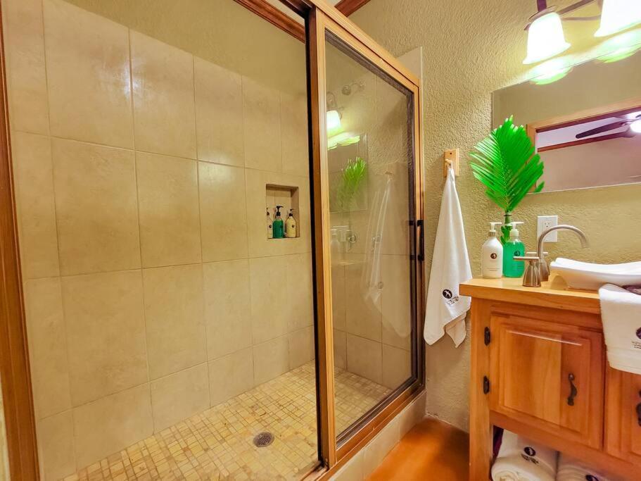 Vive Utila - Bed & Breakfast Buitenkant foto