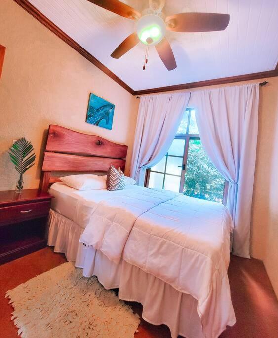 Vive Utila - Bed & Breakfast Buitenkant foto