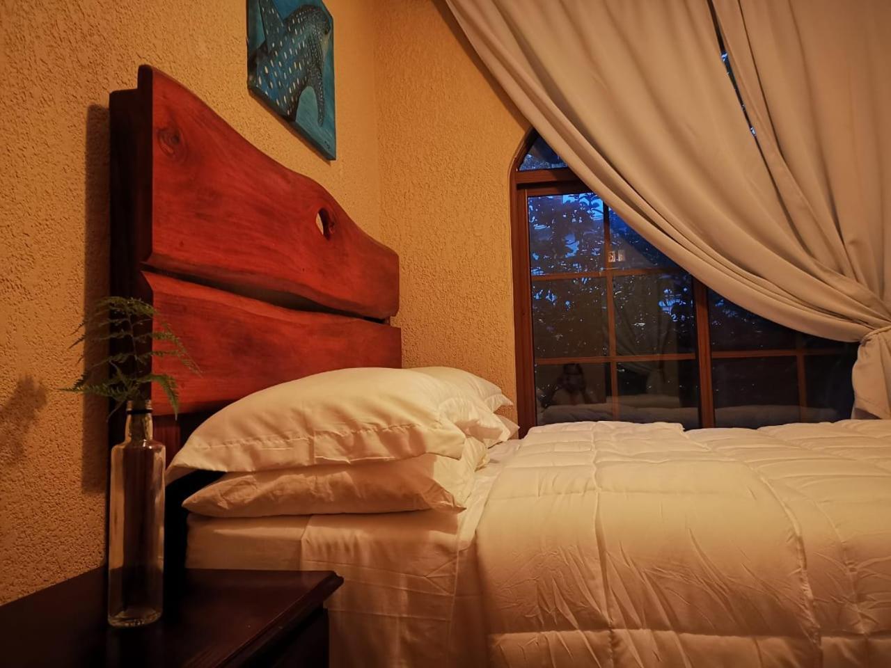 Vive Utila - Bed & Breakfast Kamer foto