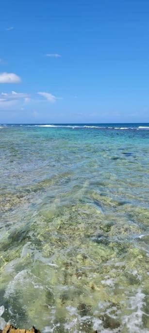 Vive Utila - Bed & Breakfast Buitenkant foto